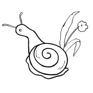 300x300 how to draw a snail best sea anemone and snail coloring