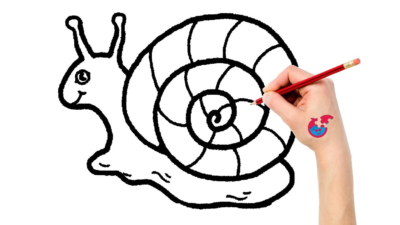 Sea Snail Drawing | Free download on ClipArtMag