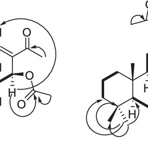 297x297 Pdf Scalarane Sesterterpenes From The Egyptian Red Sea Sponge
