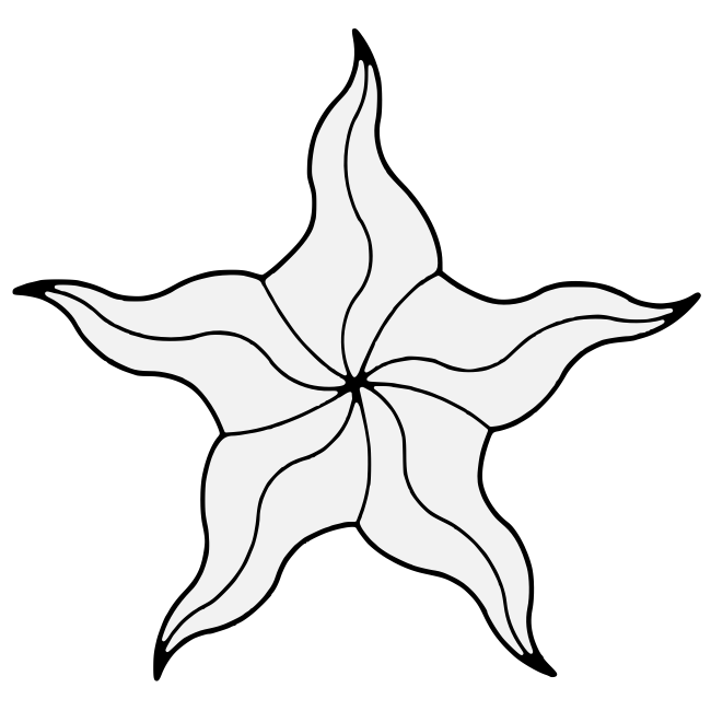 650x650 Fileostgardr Sea Star