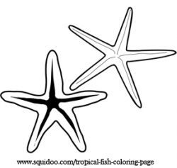 250x237 Free Printable Fish Clip Art Star Fish Or Sea Star Are Colorful