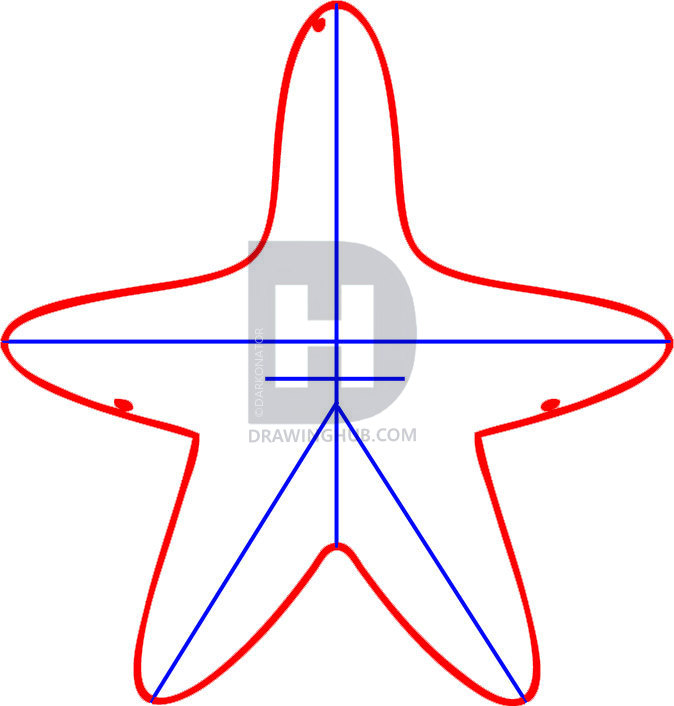 674x706 How To Draw A Starfish, Step