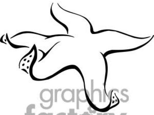 640x480 Sea Star Clipart