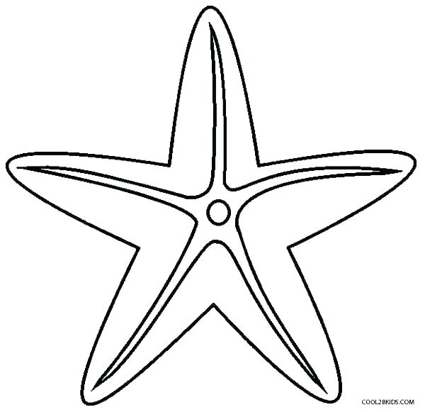 Sea Star Drawing | Free download on ClipArtMag