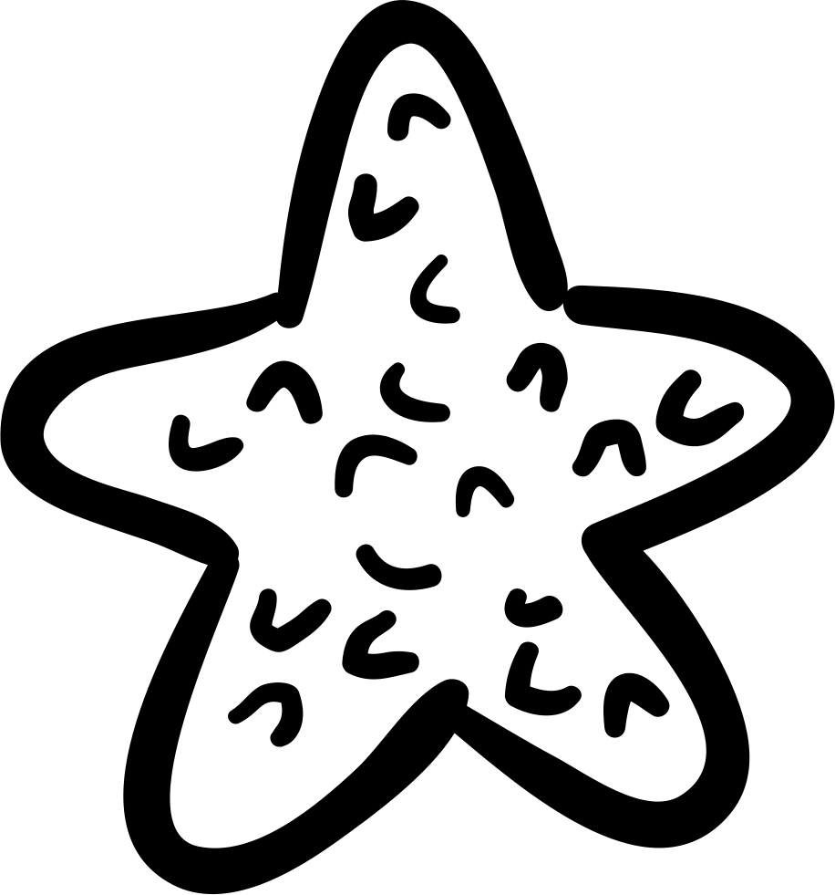 916x981 Sea Star Png Icon Free Download