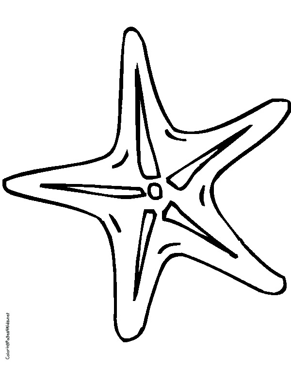 600x756 Starfish Coloring