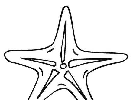 440x330 Sea Star Coloring Page, Sea Star Coloring