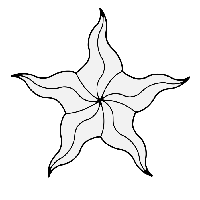 702x702 Award Of The Sea Star Of Heraldic Musings