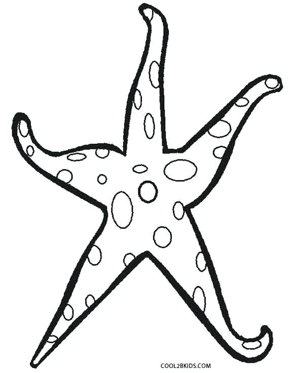 How to Draw a Starfish: 6 Steps (with Pictures) - wikiHow