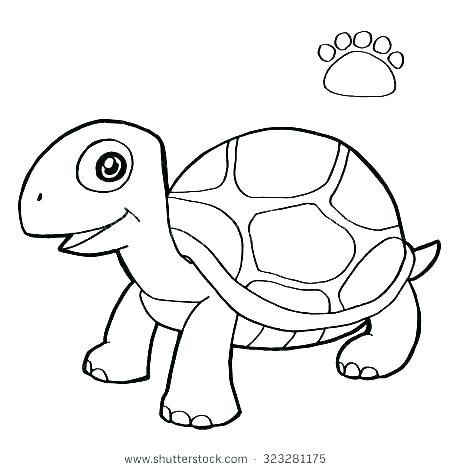450x470 Coloring Pages Draw A Turtle Cartoon Sea
