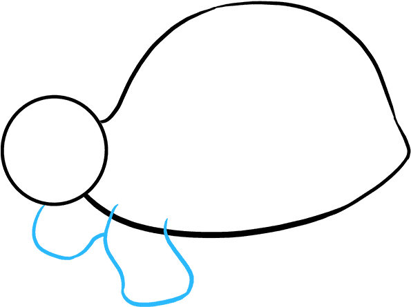 595x445 Hd How To Draw Sea Turtle