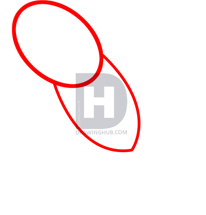 688x720 How To Draw A Sea Turtle, Cartoon Sea Turtle, Step