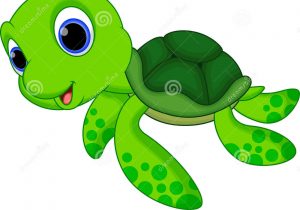 300x210 Sea Turtle Cartoon Drawing