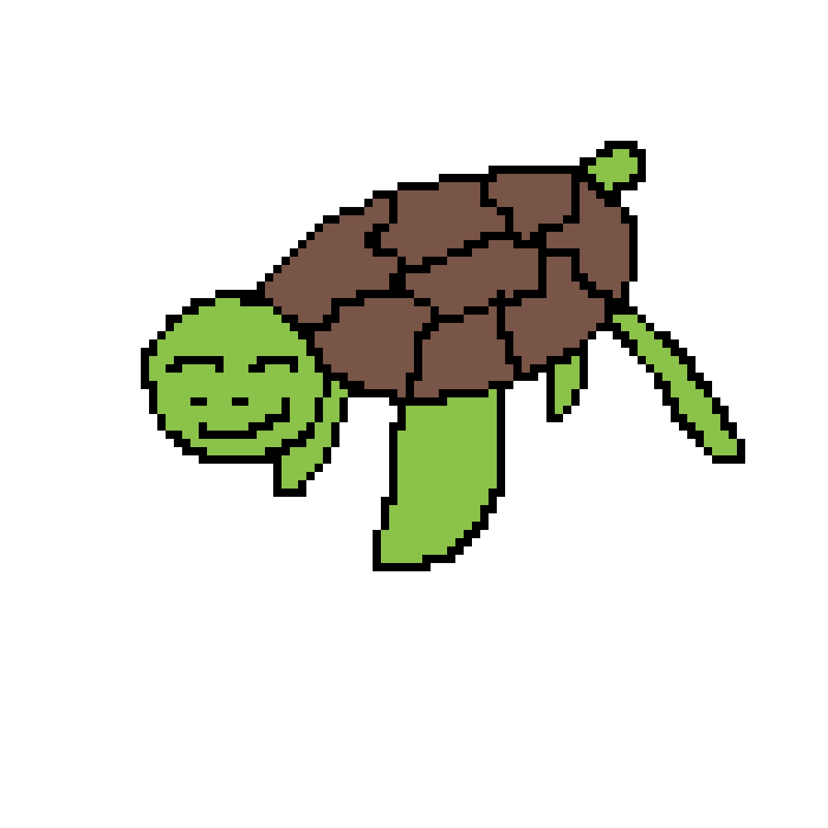 1200x1200 Amphibians Drawing Sea Turtle Transparent Png Clipart Free