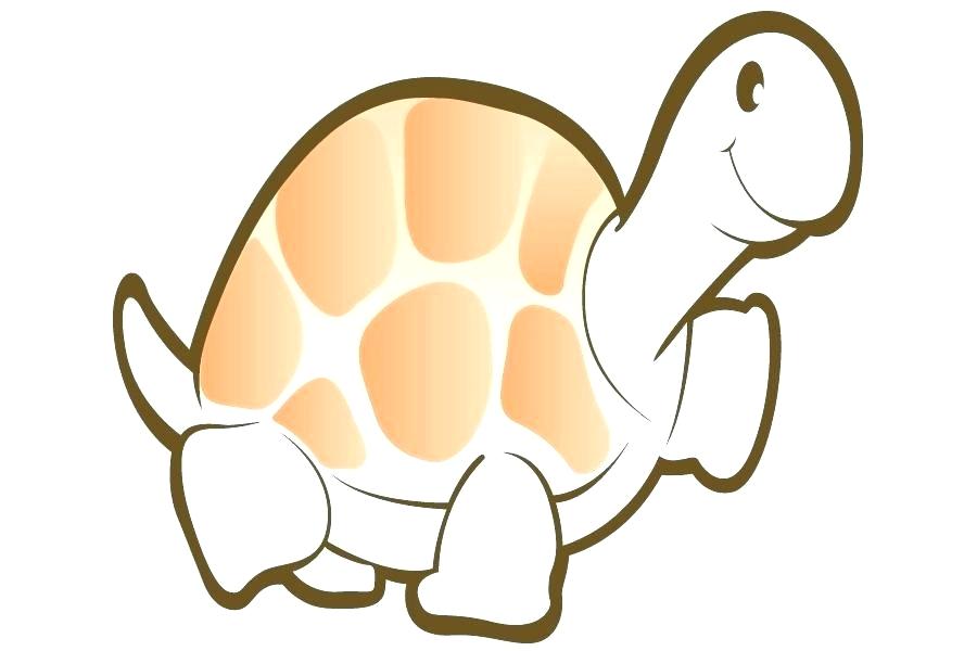 900x600 Turtle Cartoon Drawing Ninja Turtle Cartoon Drawing