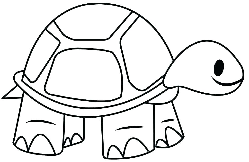 1024x668 Pictures Of Turtles To Draw