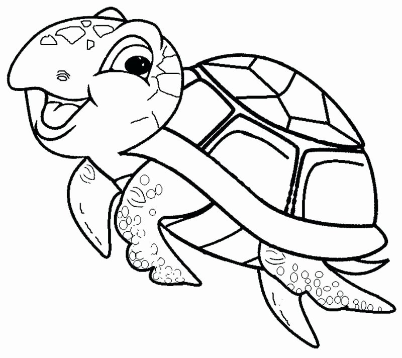 800x712 Cartoon Turtle Coloring Cartoon Luxury Cartoon Turtle Coloring