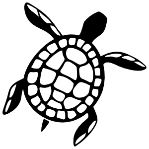 300x300 Drawing Oval Sea Turtle Transparent Png Clipart Free Download