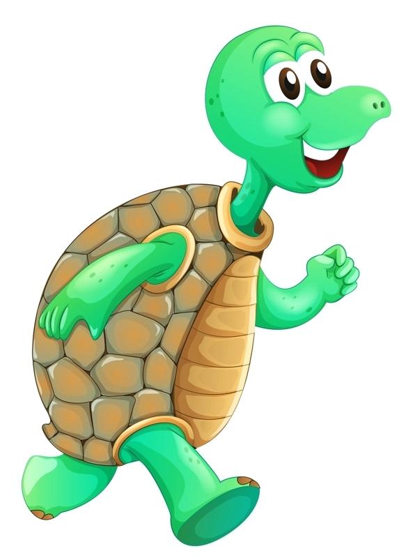 583x800 Outline Of Turtle Turtle Coloring