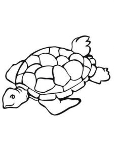 225x300 Sea Turtles Coloring Beautiful Image Sea Turtle To Color Unique