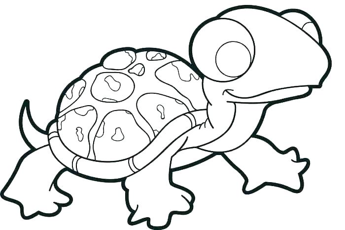 Sea Turtle Drawing Color | Free download on ClipArtMag