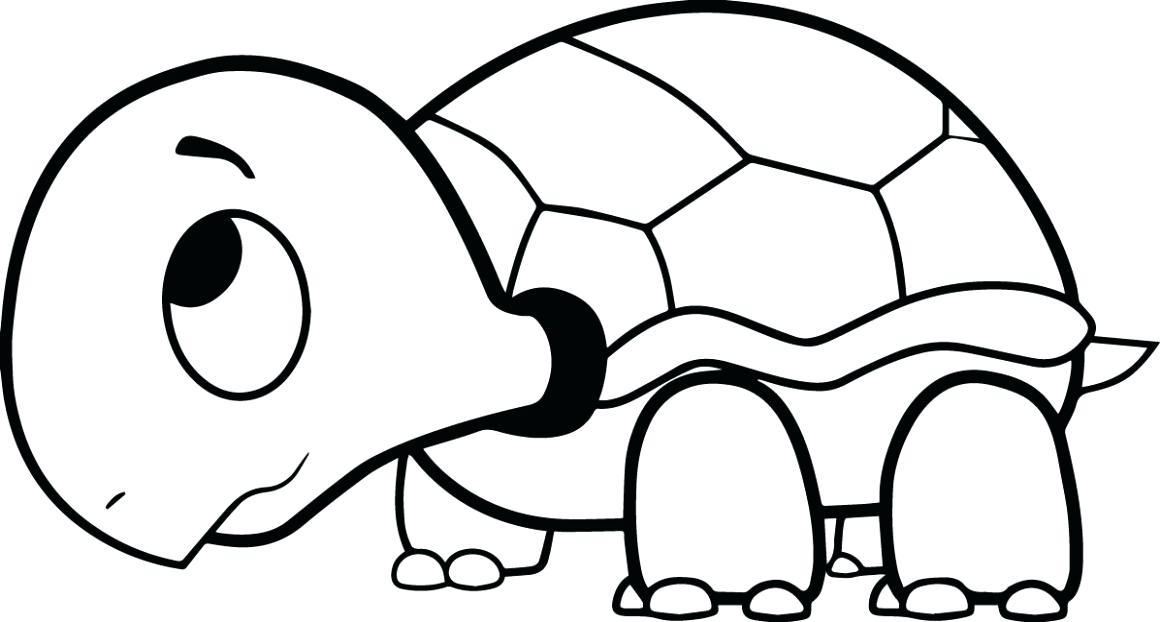 Sea Turtle Drawing Color | Free download on ClipArtMag