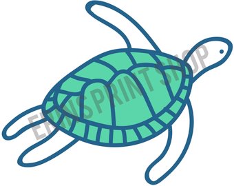 340x270 Cute Turtle Drawing Etsy