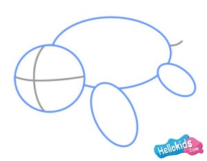 300x233 How To Draw How To Draw A Sea Turtle