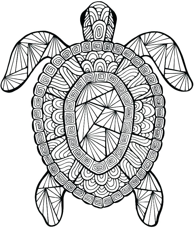 736x866 Out Line Drawing For Kids Fish Drawings For Kids Coloring Pages