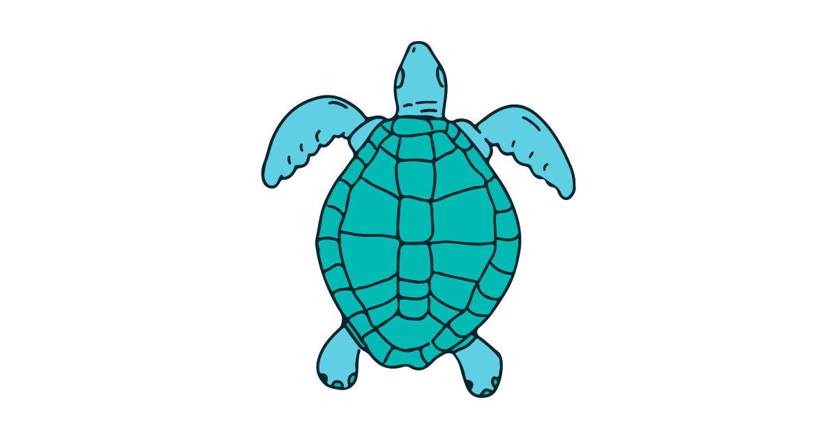 1200x630 Sea Turtle Swimming Drawing