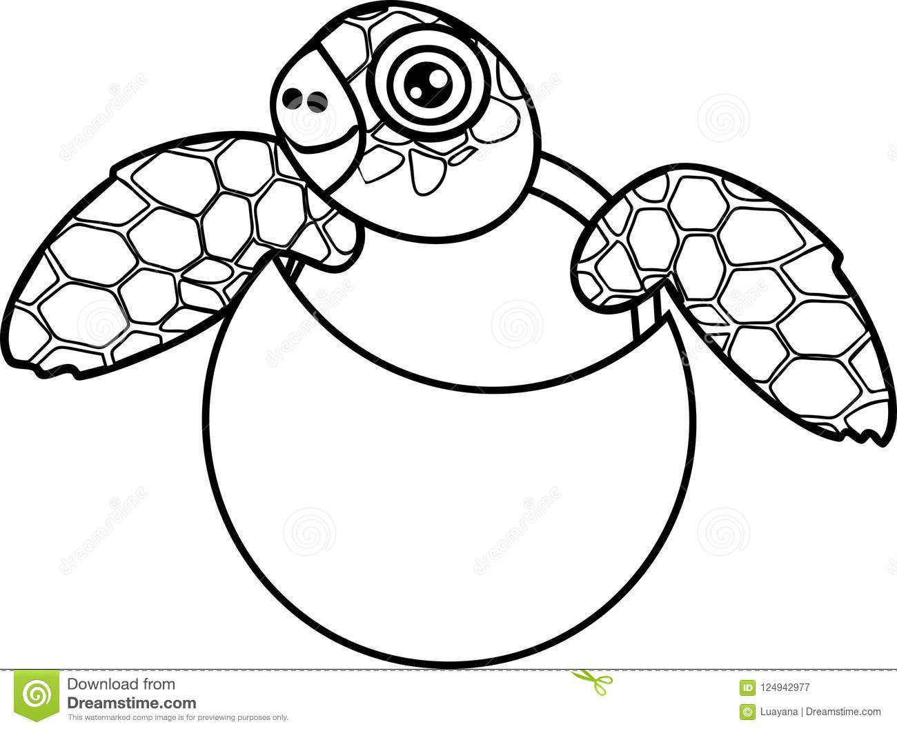 1300x1060 Turtle Color