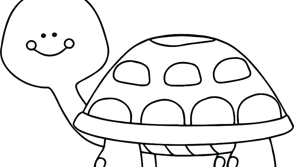 960x544 Galapagos Tortoise Coloring Pages