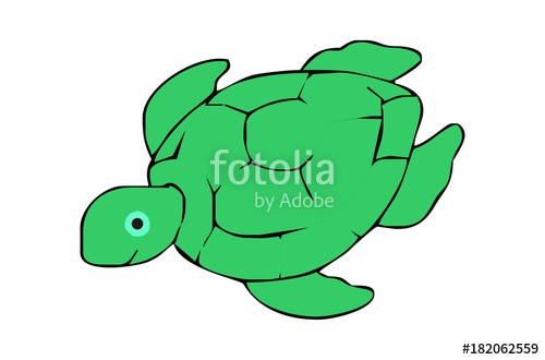 500x330 Nice Turtle Hand Drawing For Kids Stock Image And Royalty Free