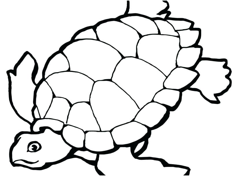 827x609 Coloring Pages For Kids Free Disney Princesses Adults Sea Turtle