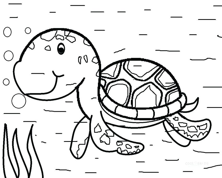 850x680 Coloring Pages For Kids Online Adults Halloween Witch Sea Turtles