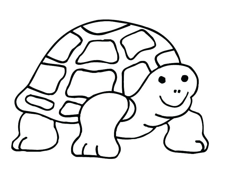 810x630 Coloring Pages Printable For Adults Pokemon Mandala Of A Turtle