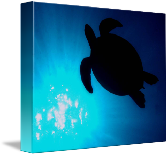 650x598 Sea Turtle Silhouette