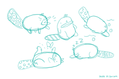 400x267 Platypus Tumblr