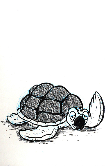 372x573 Day Sea Turtle On Storenvy