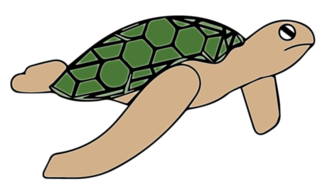 324x190 Drawing Nemo Sea Turtle Transparent Png Clipart Free Download