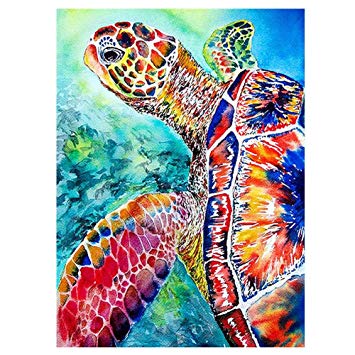 355x355 Huge Collection Of 'sea Turtle Drawing Color' Download More Than