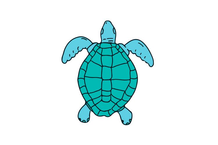 750x500 Sea Turtle Swimming Drawing