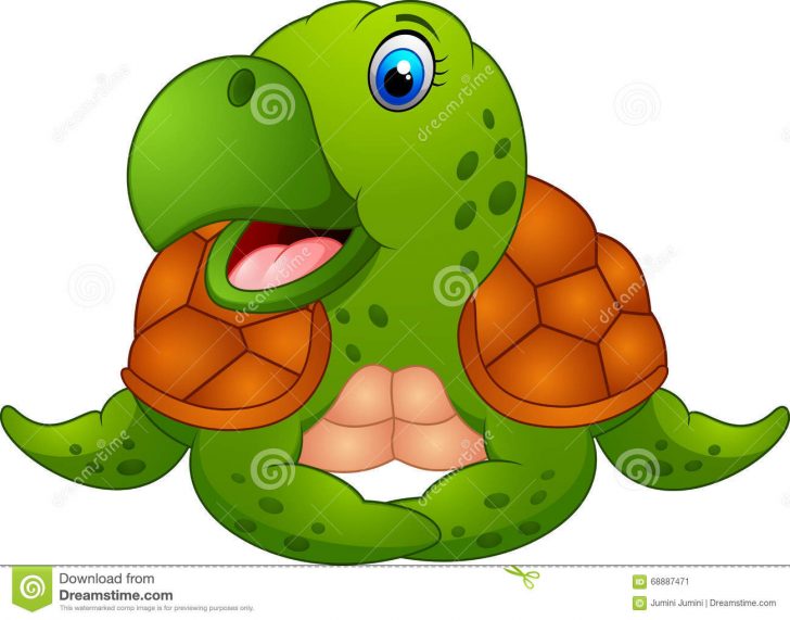 728x571 Turtle Drawing Code Program Tutorial Cute Sea Easy I Fertility