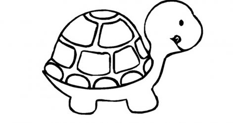 471x250 Turtle Drawing Tutorial Cute For Kids Step Baby Sea I Fertility
