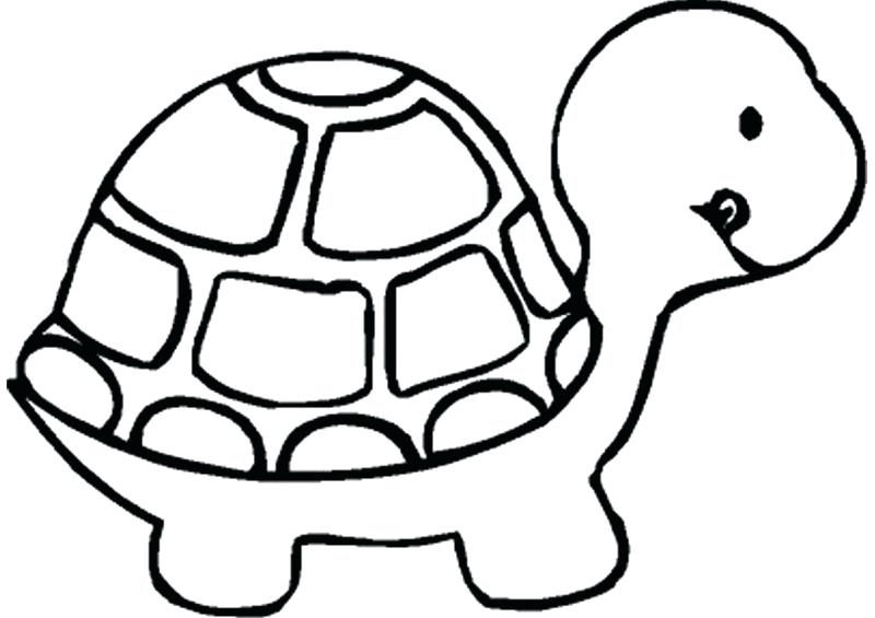800x565 Draw A Turtle Easy