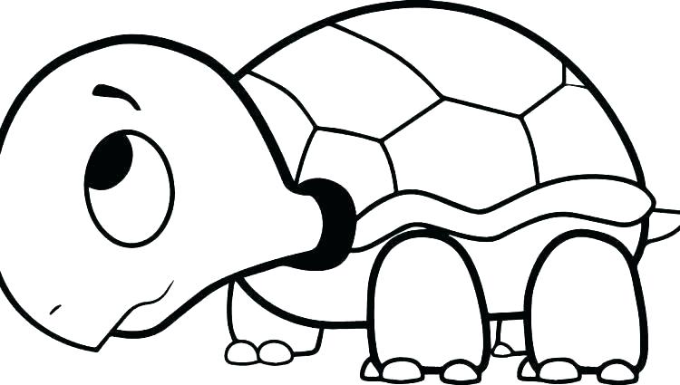 750x425 Pictures Of Sea Turtles To Color