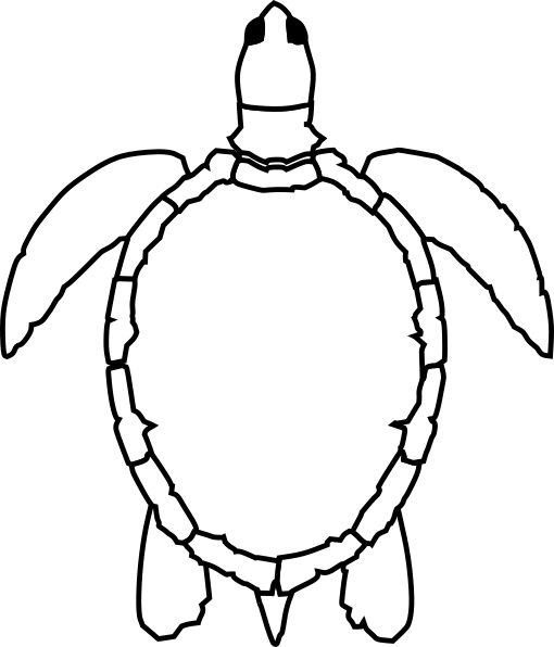510x596 No Shell Sea Turtle Clip Art