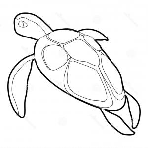 300x300 Photostock Vector Sea Turtle Line Art Vector Stylized Drawing