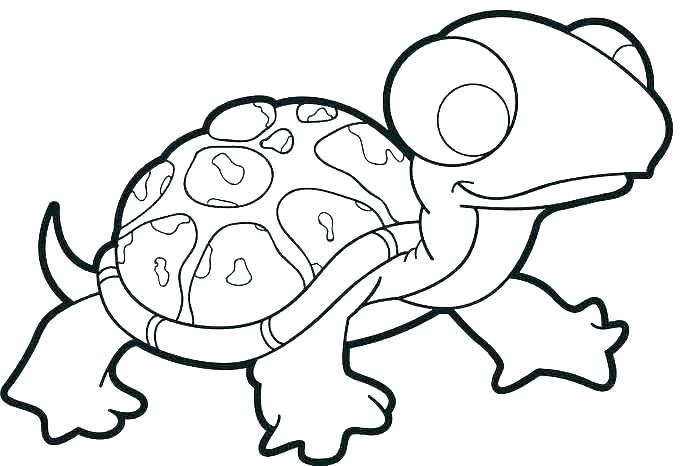 700x466 Sea Turtle Coloring Pages Cookie Consent Sea Turtle Coloring Pages