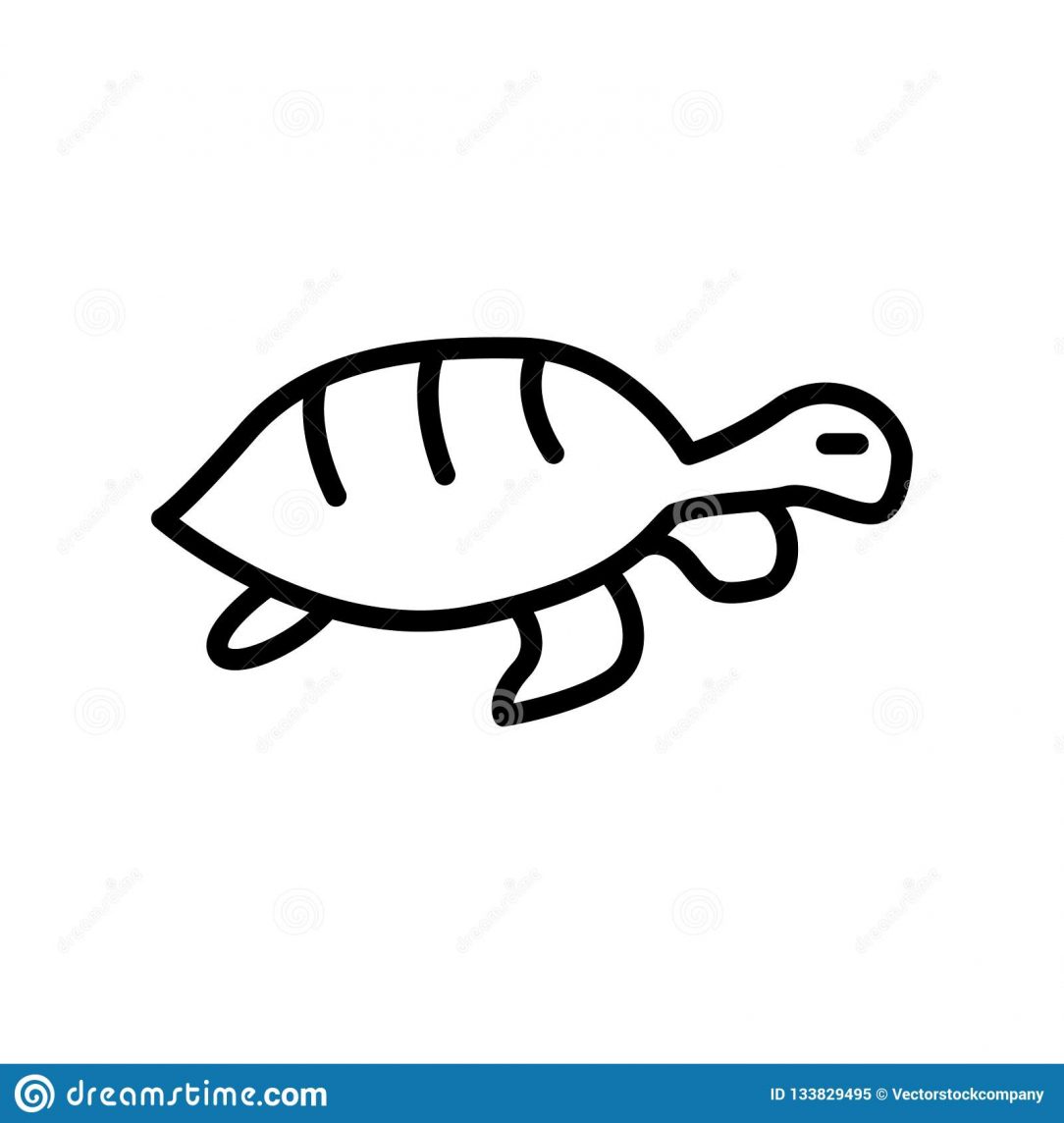 1084x1144 Simple Drawing Of A Sea Turtle Angry Art To Make It Rain